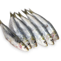 Sardinen 4 - 6 Stück ca. 17-23cm per 500g gefroren